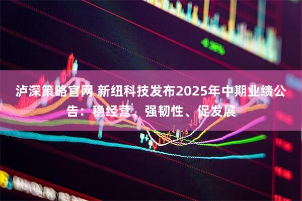 泸深策略官网 新纽科技发布2025年中期业绩公告：稳经营、强韧性、促发展